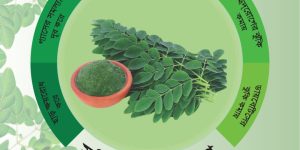 8945fca04ad1b27f3311527dc2bd64f4.jpg_720x720q80